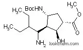 Molecular Structure of 316173-29-2 ((1S,2S,3S,4R)-methyl 3-((R)-1-amino-2-ethylbutyl)-4-(tert-butoxycarbonylamino)-2-hydroxycyclopentanecarboxylate)